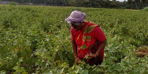 Women's Day Specials – biobasics