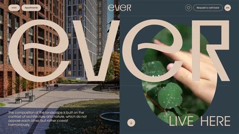 Image result for Informational Website Layout