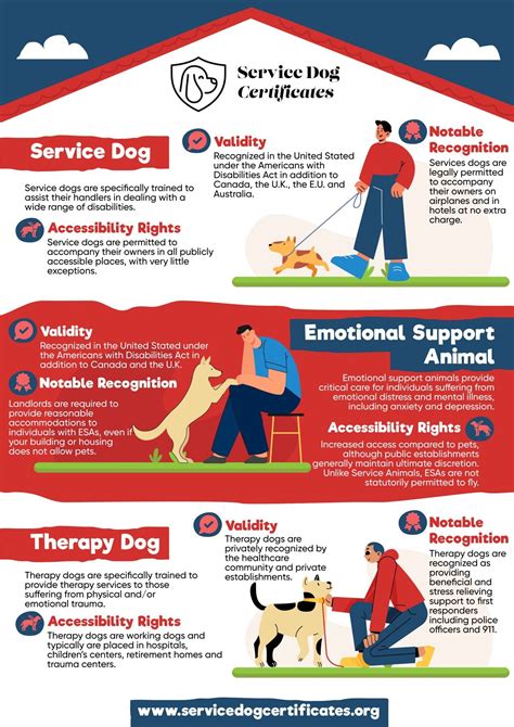 What Are Different Types Of Service Animals at Julian Byrd blog