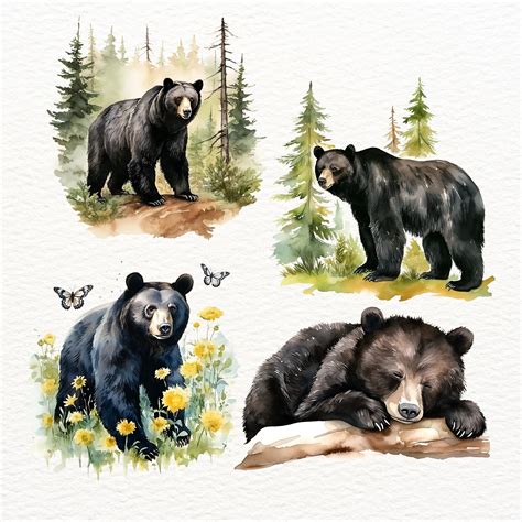 Black Bears Clipart, Watercolor Bear, Woodland Animals, Forest Clipart ...