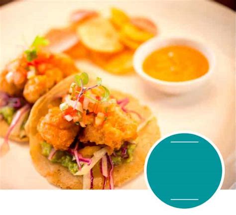 Rezept des Monats – Tacos de Pescador Fritos – Howlers Costa Rica Real ...