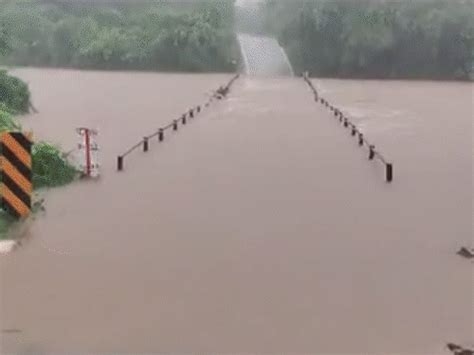 Heavy rains batter South Gujarat; Rivers and streams overflowed, 52 ...