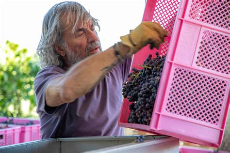 Places To Go In Turkey This Summer If You Love Wine And The Beach - Turkey Visa Online