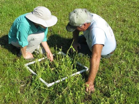 Image result for Free Science Lessons Using Quadrats