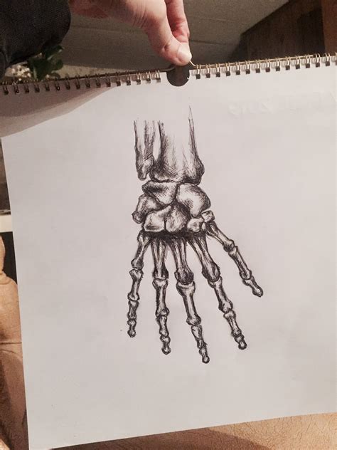 Skeleton Hand Drawing | Skeleton hands drawing, How to draw hands ...