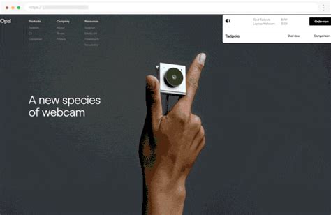 Webflow Ecommerce 的图像结果