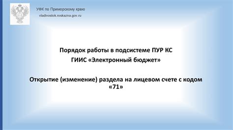 УФК по Приморскому краю - online presentation