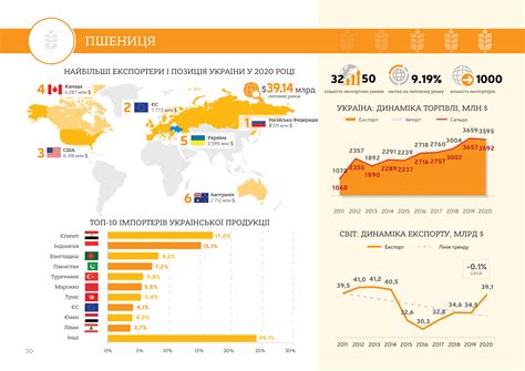 Обзор рынка зерновых культур 2021: экспорт, производство, тенденции ...