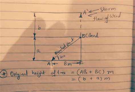 [Answered] A tree breaks due to storm and the broken part bends so that ...
