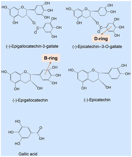 Effects of Hydrogen Peroxide Produced by Catechins on the Aroma of Tea ...