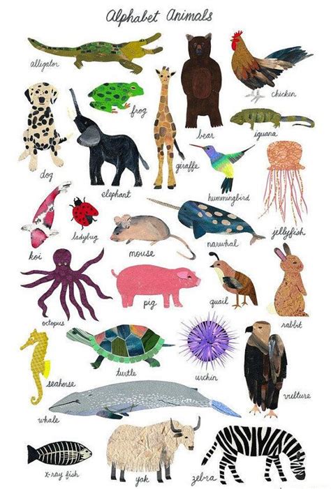 Animals With 4 Letters