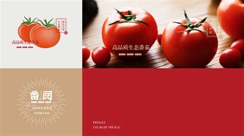 番阅番茄农产品品牌创建全案策划 - SEE OUR WORK - 山行品牌策划-中国领先品牌设计公司- 济南包装VI设计-logo标志设计-品牌设计