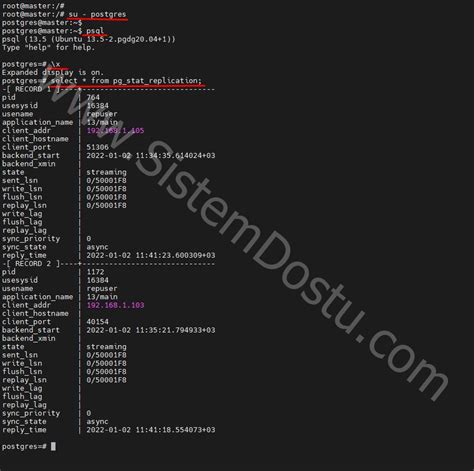 PostgreSQL Streaming Replication 的图像结果