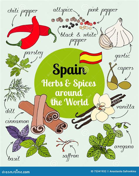 Spain herbs and spices. stock illustration. Illustration of graphic ...