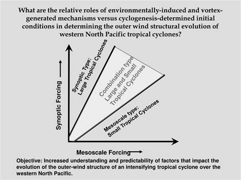 Cyclone 的图像结果