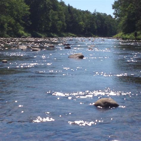 411 river rest campground - countryrety