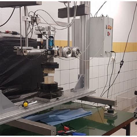 Spring Testing Spine 的图像结果