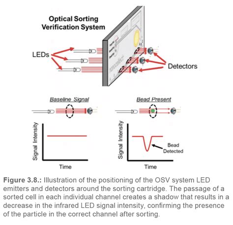Image result for Cell Sorting Well Structure