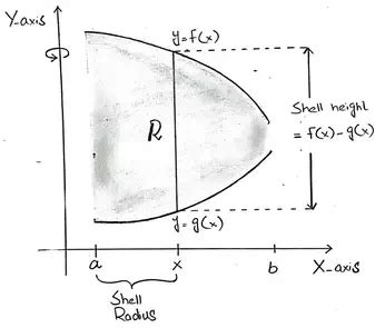Image result for Cylindrical Shell Method vs Washer Method Shape