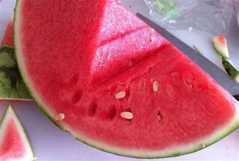 Melon/ Watermelon large 2Kg 无籽西瓜【切，称重】（2.29/k） – Orange Go