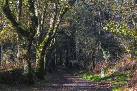 Camino de Santiago desde Vilalba | Todas las etapas y mapas
