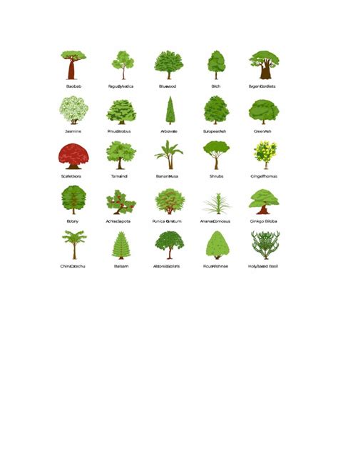 Types of Trees | PDF