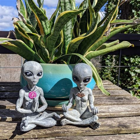 Image result for Alien Zen