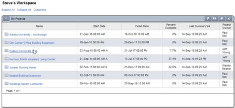 Image result for Oracle Primavera P6 Opening Window