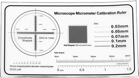Image result for Microscope Calibration Procedure