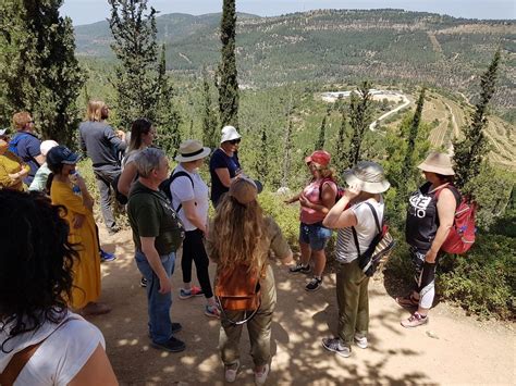 Israeli Tour Guide - Nehama Shofer (Tel Aviv) - All You Need to Know ...