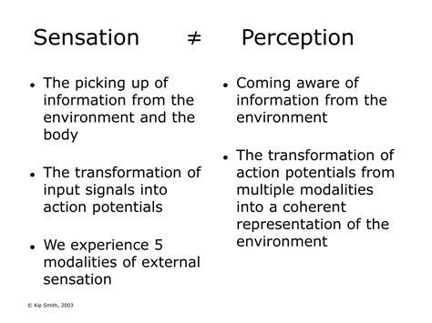 Image result for Sensation and Perception Examples