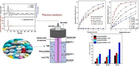Exploring the Synergistic Mechanisms of Nanopulsed Plasma Bubbles and ...