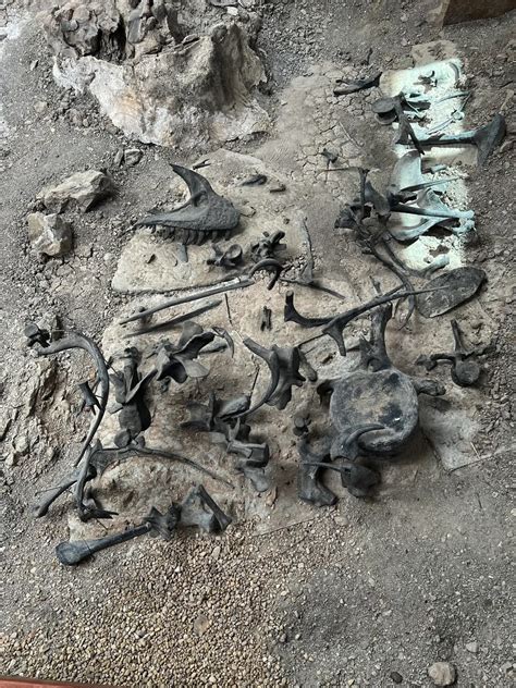 Cleveland Lloyd Dinosaur Quarry