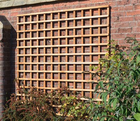 Trellis diagrams (library lattice) [David Zelený]