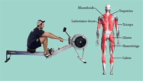 Image result for Rowing Machine Work Core