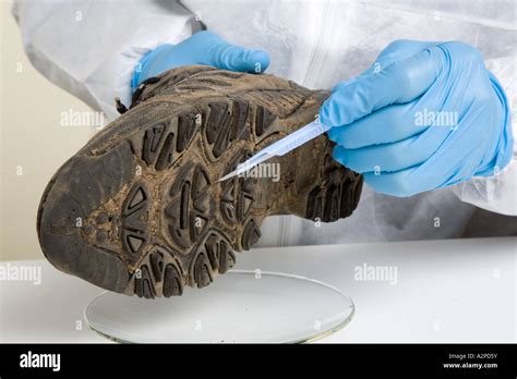 Image result for Soil Evidence Collection