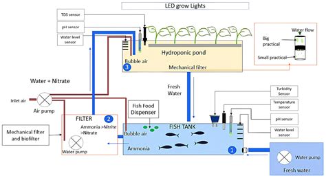 Smart Aquaponics: An Automated Water Quality Management System for ...