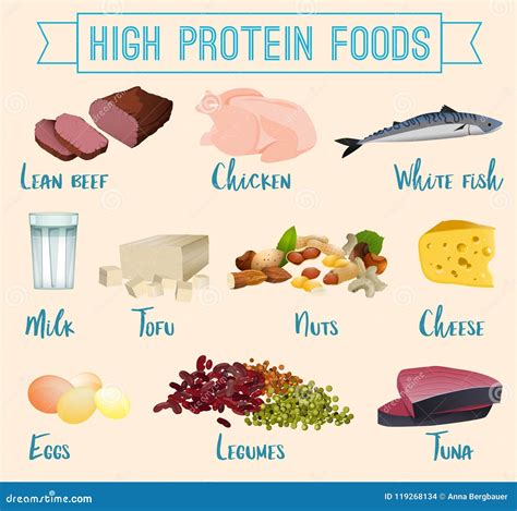 High protein foods set stock vector. Illustration of icon - 119268134