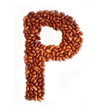 Peanut Oil – Vintage Aroma