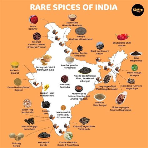 Rare Spices Of India | Indian food recipes, Indian food culture, Food map