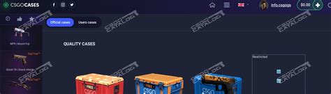Image result for Promo Code Csgocases.com