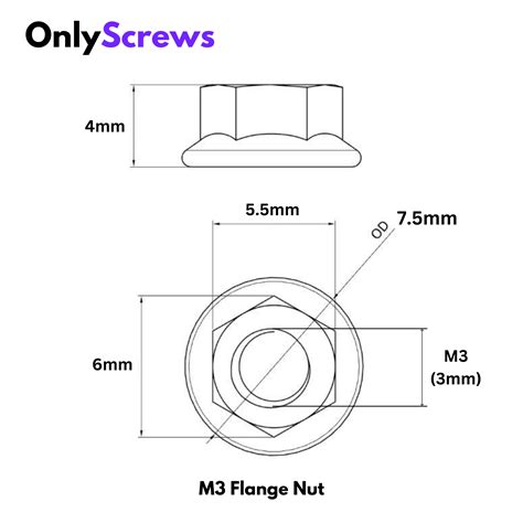 M3 Flange Nut SS304 (Dia. 3mm) – OnlyScrews
