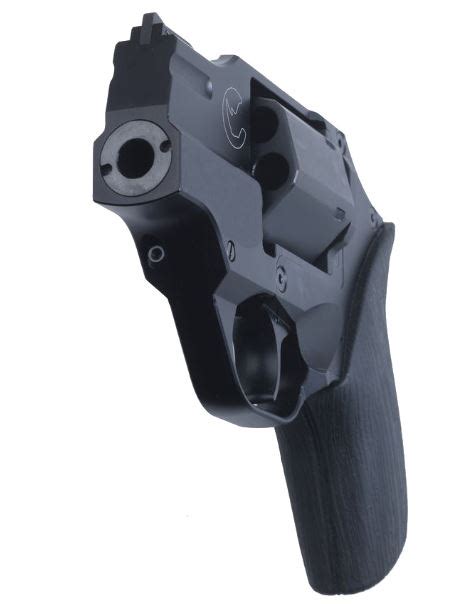 Chiappa Rhino Review | Into The Wild & Far From Extinct