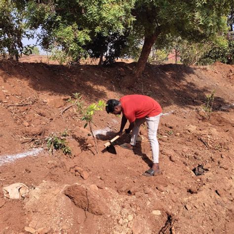 "Green Bonds: BASF/V5 Events Fosters Employee Unity Through Urban Tree ...