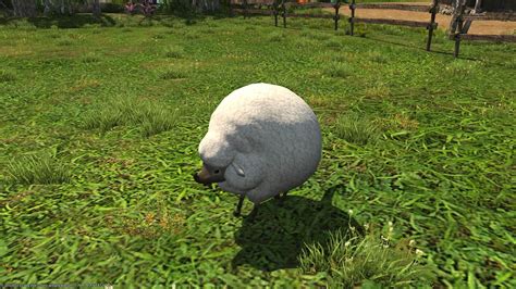 Final Fantasy XIV Island Sanctuary Animal Guide | TechRaptor
