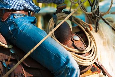 Beginner Roping Lessons 的图像结果