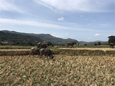 GRAND STARGATE (Laggala) - Resort Reviews & Photos - Tripadvisor