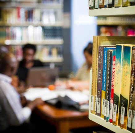 Academic Library Development Process 的图像结果