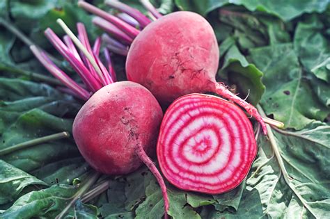8 Types of Beets You’ll See at the Farmers Market – Produce Pack