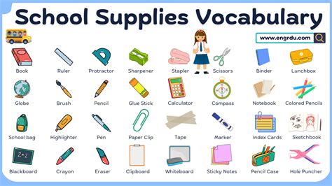 School Supplies Vocabulary with Images | 40 Things in School - Engrdu
